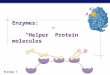 Biology I Enzymes: “Helper” Protein molecules Biology I Flow of energy through life  Life is built on chemical reactions