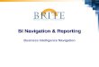 BI Navigation & Reporting Business Intelligence Navigation