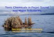 Toxic Chemicals in Puget Sound and Major Tributaries Tom Gries and David Osterberg Washington State Department of Ecology