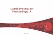 HSCI 2111 Cardiovascular Physiology A. HSCI 211 2 Objectives To learn the basic anatomy and physiology of the heart –Muscle/ pump To understand the mechanism