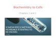 Biochemistry to Cells Chapters 2 and 3. Anatomy is Structure, Physiology is function Anatomy – Study of internal and external structure – i.e. structure