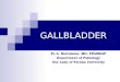 GALLBLADDER Fe A. Bartolome, MD, FPASMAP Department of Pathology Our Lady of Fatima University