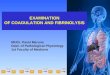EXAMINATION OF COAGULATION AND FIBRINOLYSIS MUDr. Pavel Maruna Dept. of Pathological Physiology 1st Faculty of Medicine