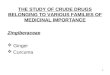 1 THE STUDY OF CRUDE DRUGS BELONGING TO VARIOUS FAMILIES OF MEDICINAL IMPORTANCE Zingiberaceae  Ginger  Curcuma
