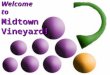 Welcome to Midtown Vineyard!. Hallelujah Brian Doerksen / Brenton Brown  2000 Vineyard Songs (UK / Eire) Hallelujah, hallelujah, hallelujah Your love