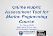 Online Rubric Assessment Tool for Marine Engineering Course Dr. Cheng CHIN Newcastle University (in Singapore Campus) 1