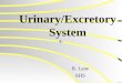 Urinary/Excretory System B. Lane SHS. Objectives Explain the function of the excretory organs Describe the structure and function of the organs in the