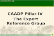 CAADP Pillar IV The Expert Reference Group 1