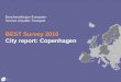 BEST Survey 2010 City report: Copenhagen Benchmarking in European Service of public Transport