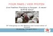 More Humanity towards Animals FOUR PAWS / VIER PFOTEN Live Feather Plucking in Europe: A never-ending story? Marcus Müller EP Intergroup on the Welfare