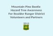 Mountain Pine Beetle Hazard Tree Awareness For Boulder Ranger District Volunteers and Partners 2011