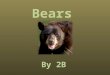 Some bears live in Asia.  Bear eat leaves and meat.  Bear can weigh over 1,700 pounds