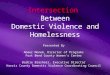 Presented By Abeer Monem, Director of Programs Fort Bend County Women’s Center Barbie Brashear, Executive Director Harris County Domestic Violence Coordinating