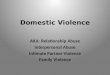 Domestic Violence AKA: Relationship Abuse Interpersonal Abuse Intimate Partner Violence Family Violence