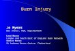 Burn Injury Jo Myers BSc (hons), RGN, Dip(He)RSCN Lead Nurse London and South East of England Burn Network Senior Nurse St Andrews Burns Centre, Chelmsford