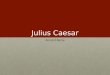 Julius Caesar Ancient Rome. After the Punic Wars Rome was facing a lot of social discontentRome was facing a lot of social discontent Wealthy class took