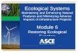 Ecological Systems Maintaining and Enhancing Natural Features and Minimizing Adverse Impacts of Infrastructure Projects Module 6 Restoring Ecological Function