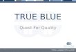 TRUE BLUE Quest For Quality. Data Sanity Matthew S. Wayne MD, CMD Chief Medical Officer