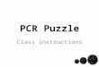 PCR Puzzle Class instructions. Start of lesson Have the following at front of the class: Template