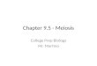 Chapter 9.5 - Meiosis College Prep Biology Mr. Martino