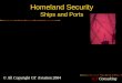 Homeland Security Ships and Ports © All Copyright GT Aviation 2004 G.T Consulting