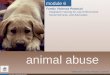 HSA-SAS mod6animal.ppt (5/07) animal abuse Merced County Animal Control module 6 Family Violence Protocol Integrated Training for Law Enforcement, Social