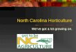 North Carolina Horticulture We’ve got a lot growing on