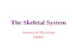The Skeletal System Anatomy & Physiology OMHS. Learning Targets:I can… identify the skeletal subdivisions, major bones, and joints of the human body
