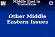 Middle East in Transition Other Middle Eastern Issues