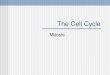 The Cell Cycle Mitosis. The Cell Cycle The regular sequence of growth and division that cells undergo
