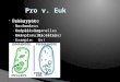Prokaryote ◦ No nucleus ◦ Unicellular ◦ Example: Bacteria  Eukaryote ◦ Nucleus ◦ Complex organelles ◦ Uni or multicellular ◦ Example: Us!