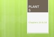 Chapters 23 & 24 PLANTS 1. 1. Evolutionary Advancement: a. Plants are thought to have evolved from ___________________ 2.Key characteristics of plants: