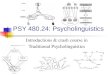 PSY 480.24: Psycholinguistics Introductions & crash course in Traditional Psycholinguistics