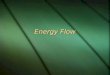 Energy Flow. ENERGY  Energy is the ability to do work and transfer heat.  Kinetic energy – energy in motion  heat, electromagnetic radiation  Potential