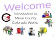 Introduction to Mesa County Colorado Works Colorado Works / Temporary Assistance to Needy Families (TANF)  TANF is a basic cash assistance work program