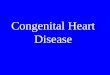 Congenital Heart Disease. Incidence of 1% in general population. VSD is most common CHD TOF is most common cyanotic CHD TGA is most common cyanotic CHD
