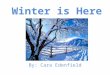 Winter is Here By: Cara Edenfield. The leaves have fallen off the trees and it is getting cold outside because… Winter is here
