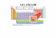 SELENIUM. When it comes to disease prevention there is no single nutrient as important as selenium
