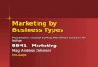 Marketing by Business Types Presentation created by Mag. Maria Peer based on the lecture BBM1 – Marketing Mag. Andreas Zehetner FH Steyr FH Steyr