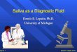Dennis E. Lopatin, Ph.D. Page no. 1 Saliva as a Diagnostic Fluid Dennis E. Lopatin, Ph.D. University of Michigan