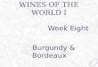 WINES OF THE WORLD I Week Eight Burgundy & Bordeaux