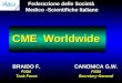 CME Worldwide BRAIDO F. FISM Task Force CANONICA G.W. FISM Secretary General Federazione delle Società Medico -Scientifiche Italiane
