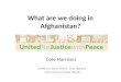 What are we doing in Afghanistan? Cole Harrison thanks to Steve Burns, Tom Hayden and Connie Frisbee Houde