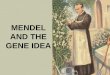 MENDEL AND THE GENE IDEA. YOU MUST KNOW… TERMS ASSOCIATED WITH GENETICS PROBLEMS: P, F 1, F 2, DOMINANT, RECESSIVE, HOMOZYGOUS, HETEROZYGOUS, PHENOTYPIC,