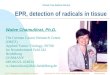 1 EPR, detection of radicals in tissue Walee Chamulitrat, Ph.D. The German Cancer Research Center (DKFZ) Applied Tumor Virology, F0700 Im Neuenheimerd