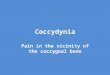 Coccydynia Pain in the vicinity of the coccygeal bone
