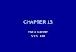 CHAPTER 13 ENDOCRINE SYSTEM. COMPARISON???  