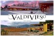 Valdivieso Winery - Main facts - Founded in 1879. Family vineyard (three generations involved directly in the business). Still & sparkling wine producers