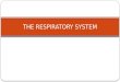 Respiratory System Presentation