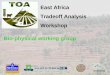 East Africa Tradeoff Analysis Workshop Bio-physical working group